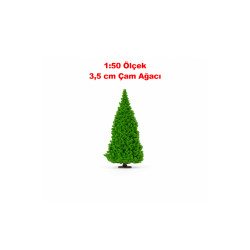 6 Adet Minyatür Çam Ağacı - Teraryum İçin 3.5 cm 1:50 Ölçek Maket
